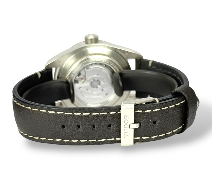 Tudor Black Bay 58 M79010SG-0001